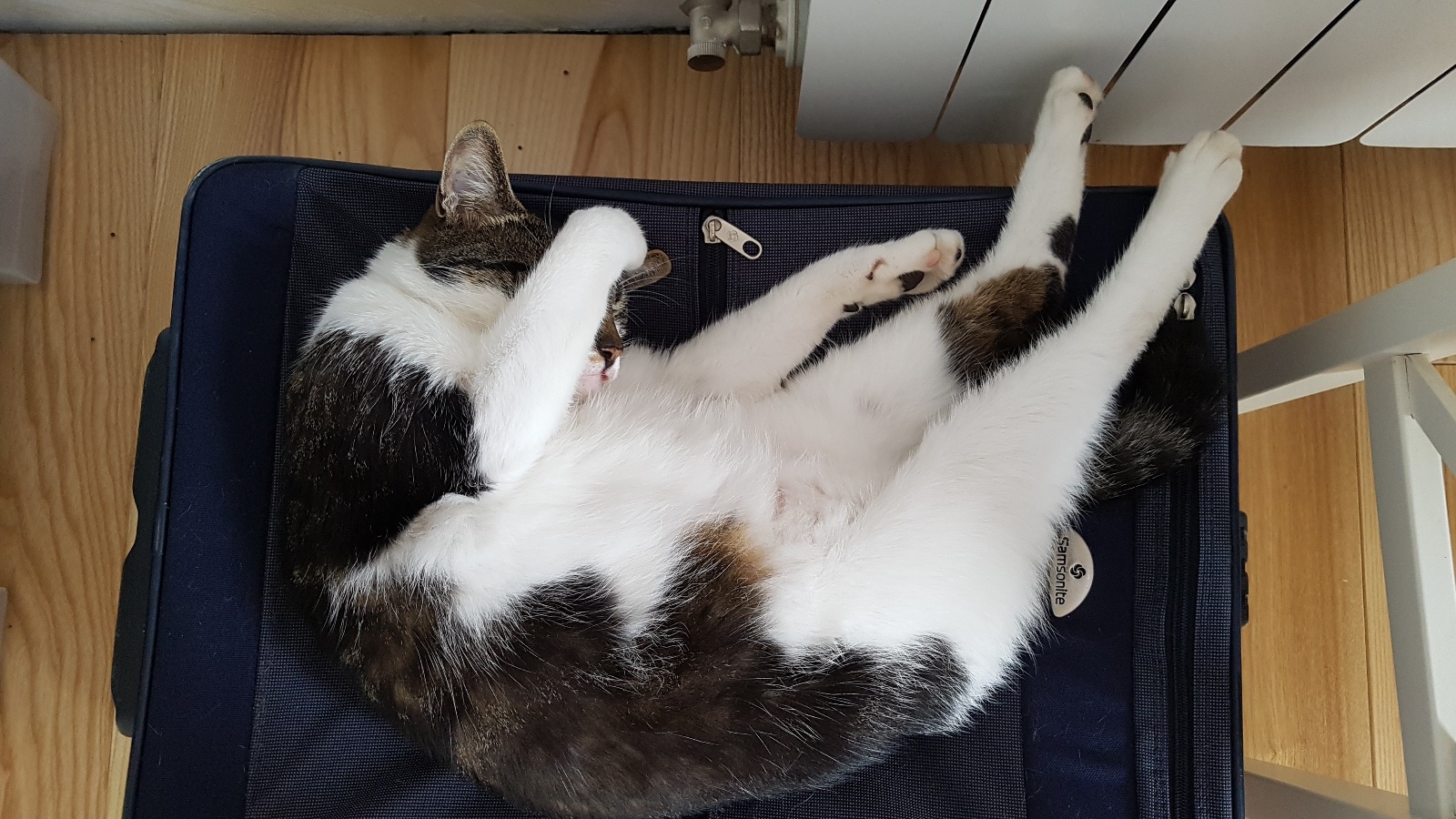 20180630 074918   Kopie